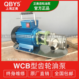 上海正奥WCB型手提式齿轮油泵 铸铁柴油油泵