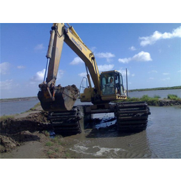河南湿地两用挖掘机-文淼价格合理性能优越-湿地挖掘机租赁