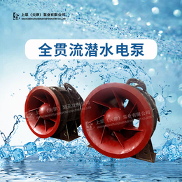 QGWZ全贯流潜水电泵天津大型工厂制造商
