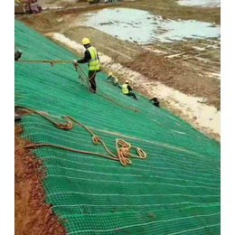 江西吉安矿山防冲生物毯 快速复绿 绿化护坡