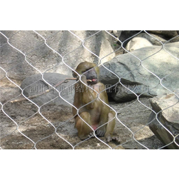 猴围网供货厂家-骐骏围栏-*猴围网