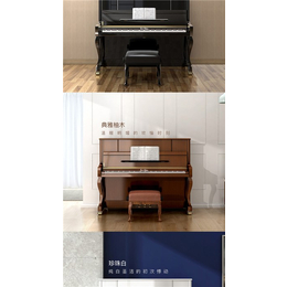 卡尔霍夫纳钢琴多少价位-卡尔霍夫纳钢琴-江苏阿米巴教育