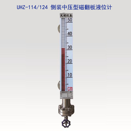 电伴热型磁翻柱液位计厂家*-大明科技