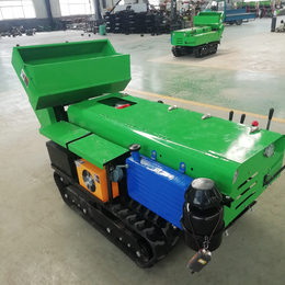 供应2020版 橡胶履带式施肥机 现货多功能田园管理机 