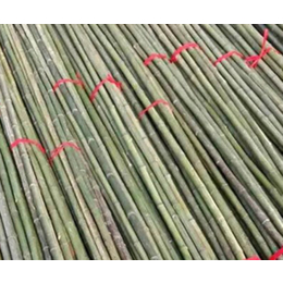 瓜果支撑小竹子价格-八方竹业(在线咨询)-新疆小竹子价格