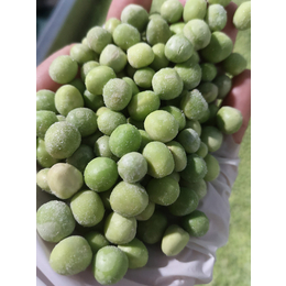 徐州新西兰甜豌豆价格-散装新西兰甜豌豆价格-绿佳(推荐商家)