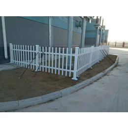 供应厂家2020款PVC护栏园围栏塑钢护栏缩略图