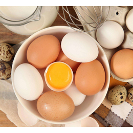 * 蛋与蛋制品检测