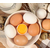 * 蛋与蛋制品检测缩略图4