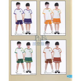 石棉县中小学校服运动风定做厂家派登服饰