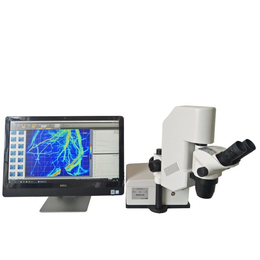 血管血流成像仪-宿迁血流成像仪-迅微光电