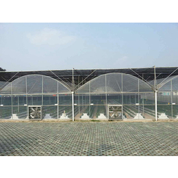 新型玻璃温室大棚-榆林玻璃温室大棚-【诺博温室工程】