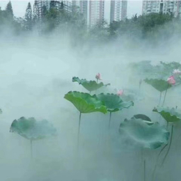 高压冷雾园林景区庭院小区水池人造雾造景雾化雾森系统主机