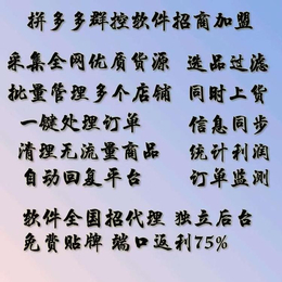 湖南拼多多店群采集软件同行截流软件代运营模式招商加盟缩略图