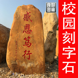 浙江2-3米高的大型刻字石出售浙江校园黄蜡石校园校名石