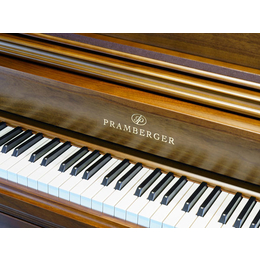 普拉姆伯格钢琴PS-175-衡阳普拉姆伯格钢琴-买钢琴，找长沙蓝音