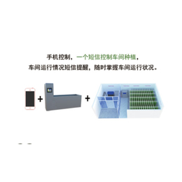 100斤芽苗莱机-青州迪生自动化设备-100斤芽苗莱机排行