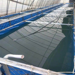 养虾帆布水箱厂家 定做养殖水蛭帆布水池