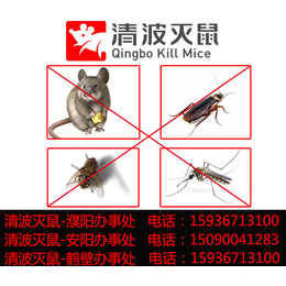 灭蚂蚁公司-濮阳清波灭鼠(在线咨询)-淇县灭蚂蚁