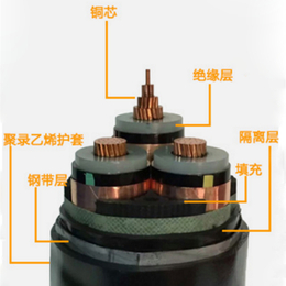 荆门耐高压电缆推荐厂家