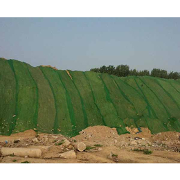 防尘网生产厂家-合肥皖篷(在线咨询)-黄山防尘网
