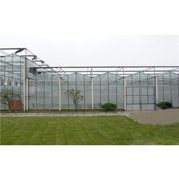 齐鑫温室园艺(图)-阳光板温室建设-阳光温室