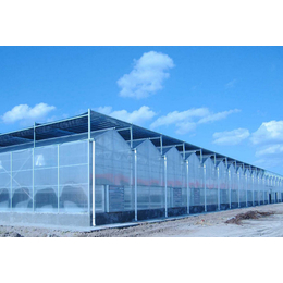 玻璃温室报价-阜阳玻璃温室-合肥建野温室大棚