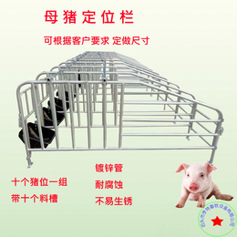 仔猪分娩栏产仔栏加重加厚猪产床 连体产床养猪设备