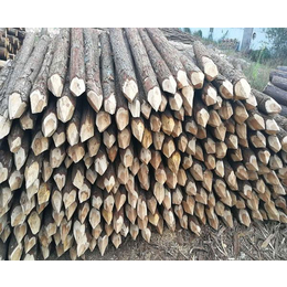 景观木桩-宣城宏文杉木桩价格-景观木桩多少钱