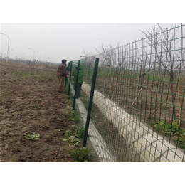 丝网厂家(在线咨询)-泰安丝网-农业防护铁丝网