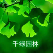 邳州市千绿园林绿化工程有限公司