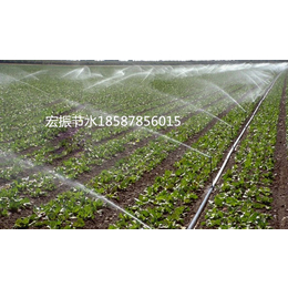 钦州水肥一体化,南宁宏振灌溉,水肥一体化设备