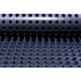 东诺工程材料土工材料(图)-车库聚乙烯排水板-聚乙烯排水板