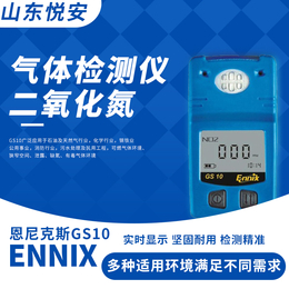 恩尼克斯GS10单一可燃气体检测仪厂家氧气厂家价格