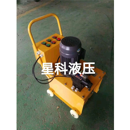 星科液压机械*-铁岭超高压电动泵-超高压电动泵*