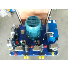 小型电动泵报价-驰晨液压定制加工-长春小型电动泵