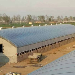 新式养牛大棚建设-聚丰温室大棚按需定制