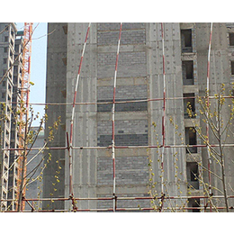 合肥墙体自保温-安徽天邦新型建材公司-墙体自保温厂家