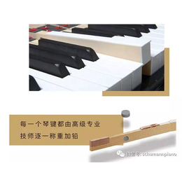 天津钢琴多少钱-天津市-博韵琴行-天津钢琴