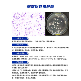 解淀粉芽孢*代理商-解淀粉芽孢*-坤禾生物(查看)