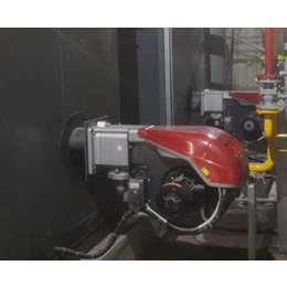 合肥蒸汽发生器-星火操作简单安全-燃油蒸汽发生器