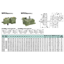 WP蜗轮蜗杆减速机-中大恒天电机-WP蜗轮蜗杆减速机哪家好