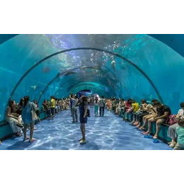 好景至水族为您服务(图)-水族馆厂家-山东水族馆