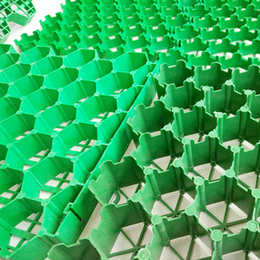 塑料植草格批发-植草格生产厂家(在线咨询)-青海塑料植草格