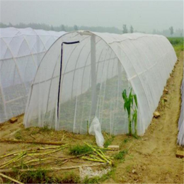胡蜂蝗虫养殖网罩拱形定做拼接大宽幅的网片新料新货特别养殖缩略图