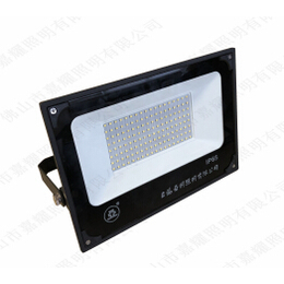 上海亚明ZY609 50W 100W LED投光灯