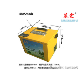 天成盛公司(图)-锂电池组多少钱-天津锂电池组