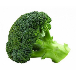 新鲜蔬菜找刘建平蔬菜(图)-新鲜蔬菜配送-山西新鲜蔬菜