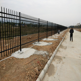 厂家*锌钢护栏 中山围墙铁艺栅栏 小区锌钢护栏现货																																				缩略图