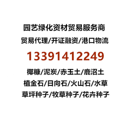 国*应日本原装进口赤玉土 二本线三本线茨城赤玉土缩略图